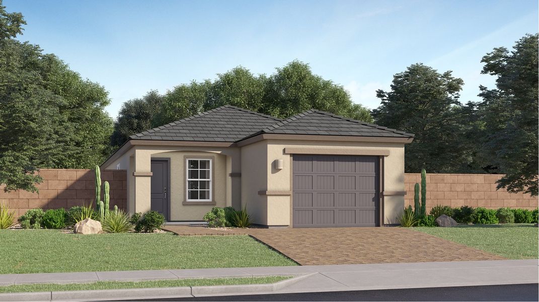 2570 Cottage Western Garden Aster Cottage M 2570 Cottage Western Garden Aster Cottage M