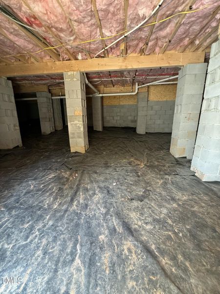 tempImage8whhUf tempImage8whhUf