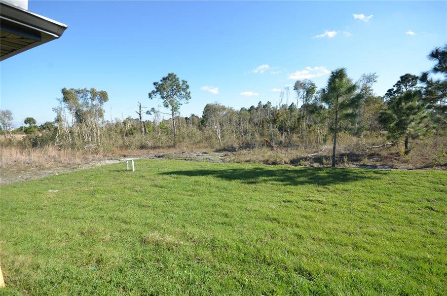 Natural landscape and outdoor views near  in Lehigh Acres (Image 43).