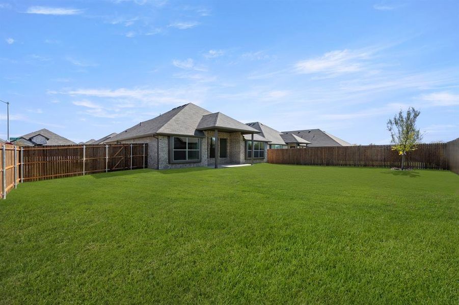 10352 Tapioca- Back-1