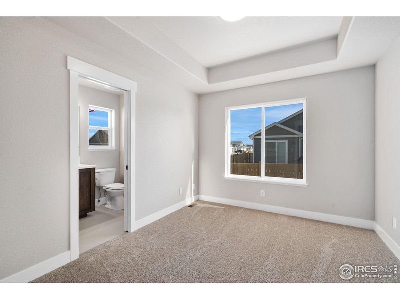 Spacious, unfurnished interior of a new home in , Wellington (Image 22).