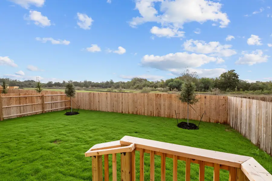Backyard Backyard