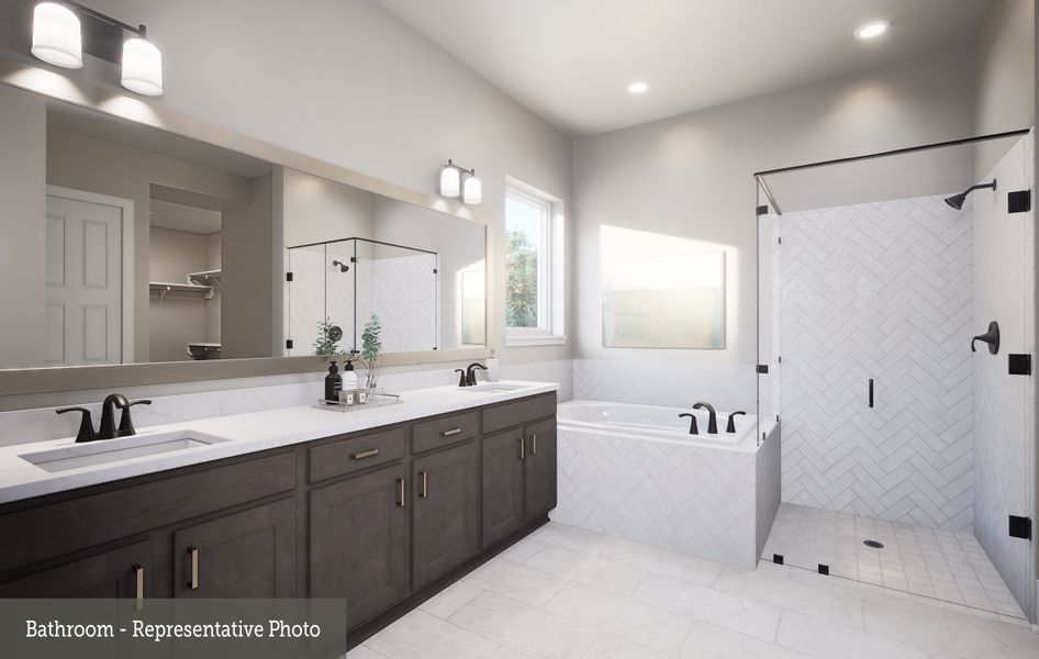 Owner's Bath