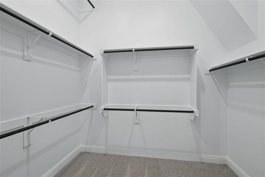 Spacious closet with light carpet Spacious closet with light carpet