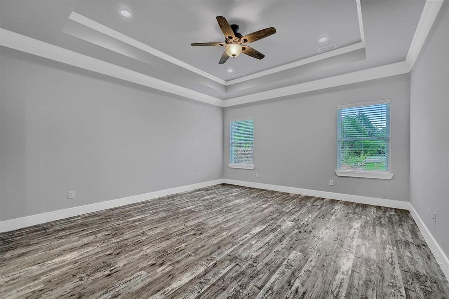 Spare room featuring a tray ceiling, ceiling fan, and a wealth of natural light