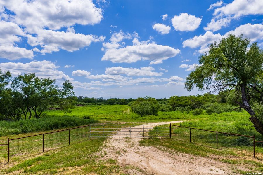 Natural landscape and outdoor views near  in Crystal City (Image 35).