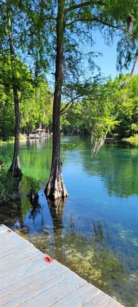 Rainbow Springs Dunnellon