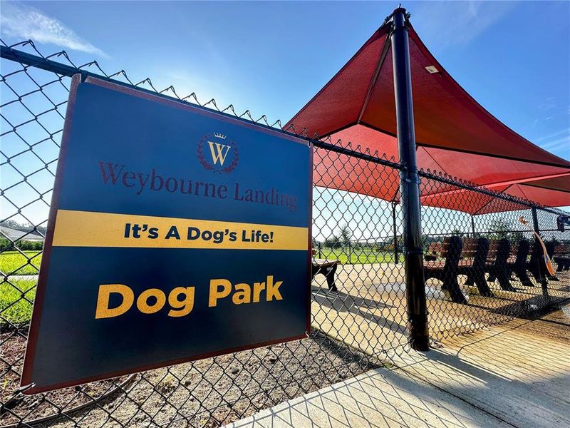 Front exterior of a new home in , Ocala, FL, highlighting curb appeal (Image 20).