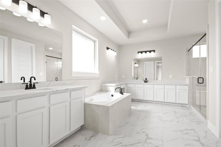 Spa-like owner's bath