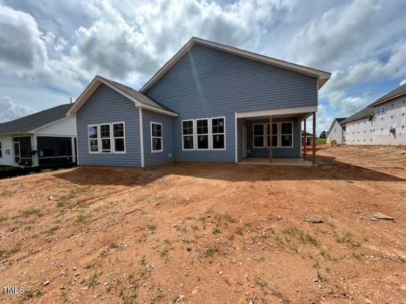 IMG_3993 (Medium) IMG_3993 (Medium)