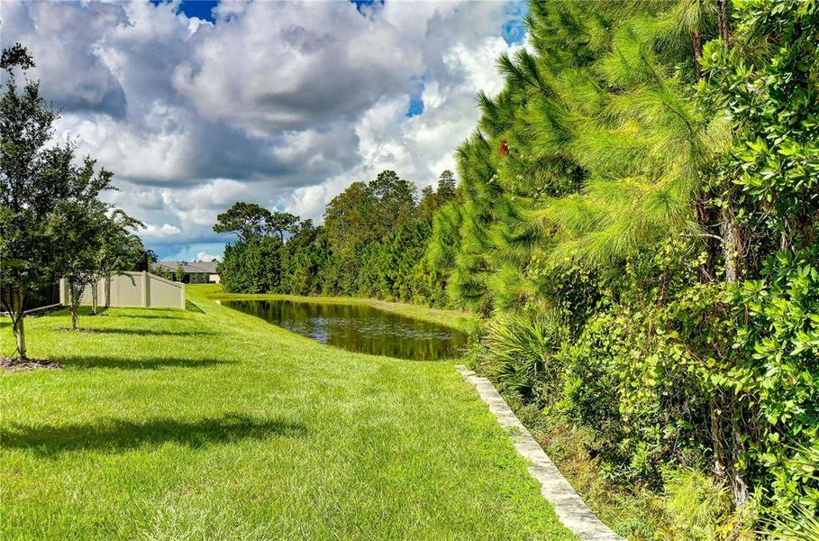 Natural landscape and outdoor views near Angeline Active Adult in Land O' Lakes (Image 40).