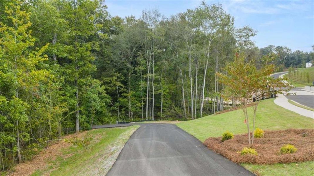 Natural landscape and outdoor views near Heritage Pointe in Senoia (Image 69).
