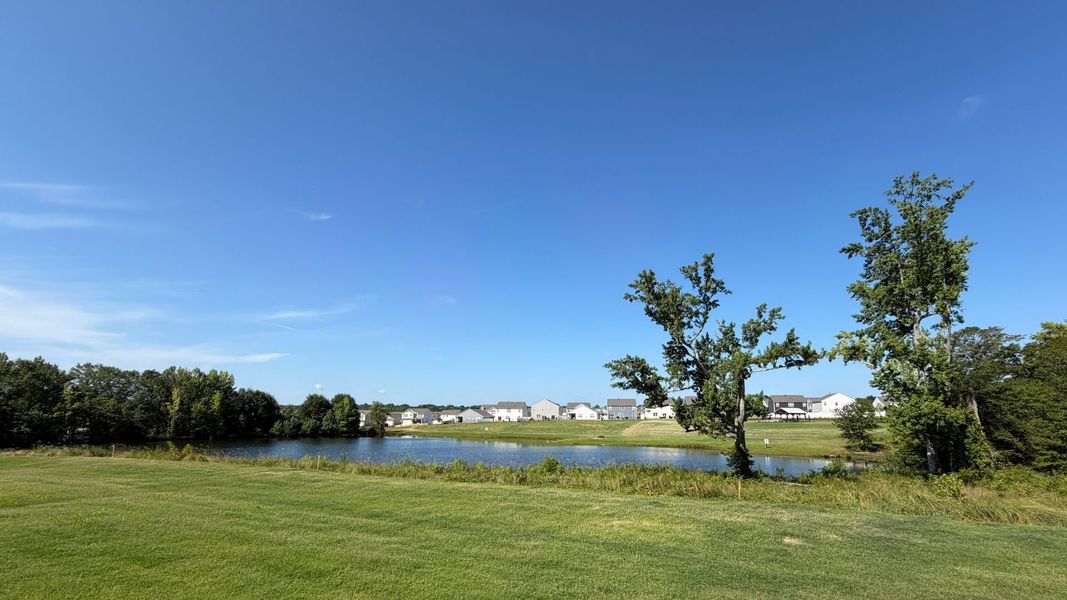Natural landscape and outdoor views near Durbin Meadows in Fountain Inn (Image 35). Natural landscape and outdoor views near Durbin Meadows in Fountain Inn (Image 35).