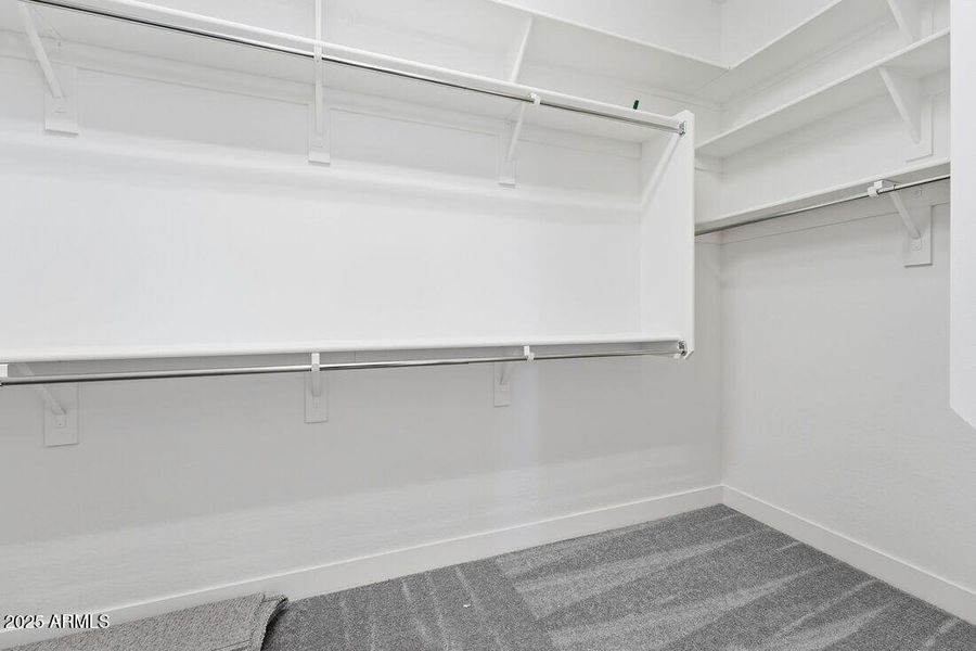 4103 E BRITTLEBUSH Lane - Ready Now!