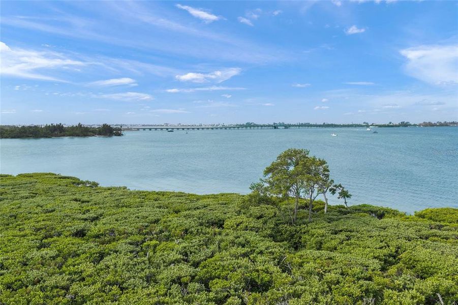 Natural landscape and outdoor views near  in Bradenton (Image 69).