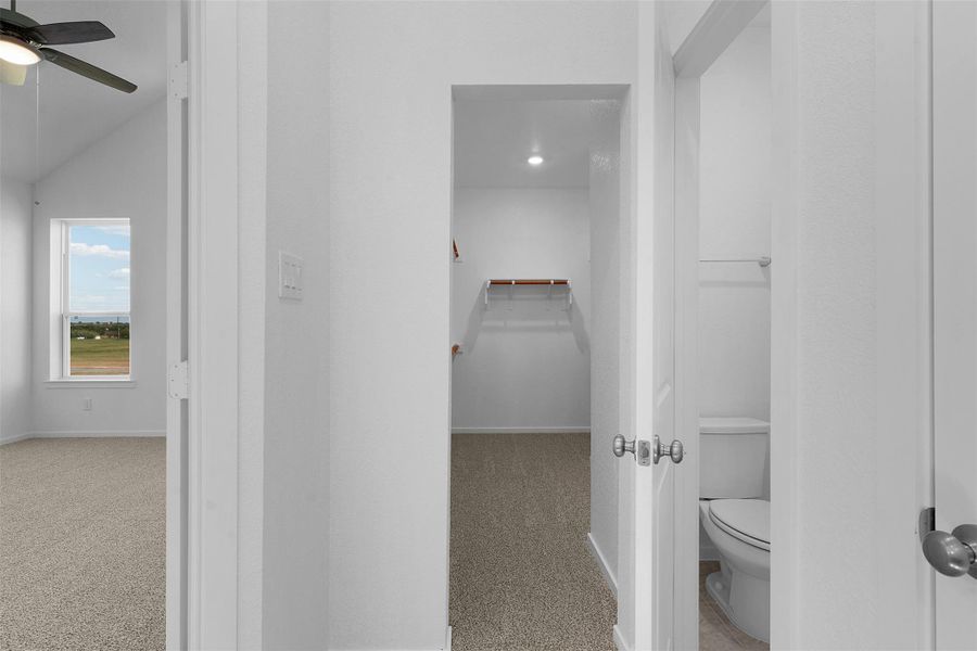 Spacious, unfurnished interior of a new home in Briarwood, Elgin (Image 23). Spacious, unfurnished interior of a new home in Briarwood, Elgin (Image 23).