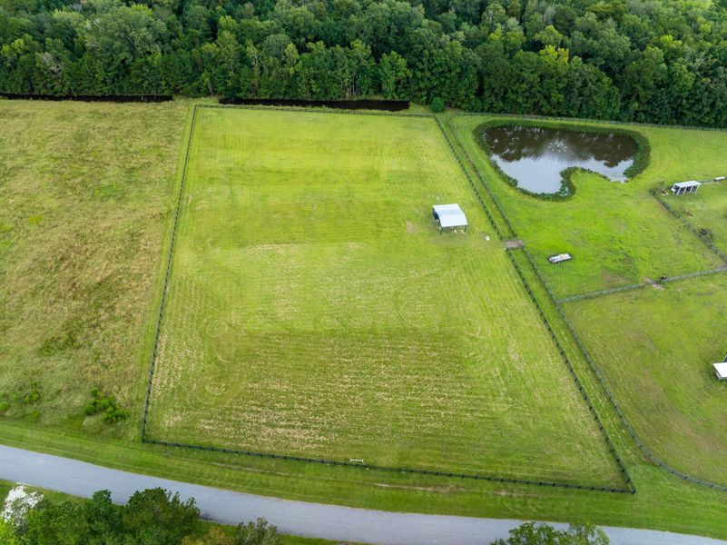 Natural landscape and outdoor views near  in Ravenel (Image 42).