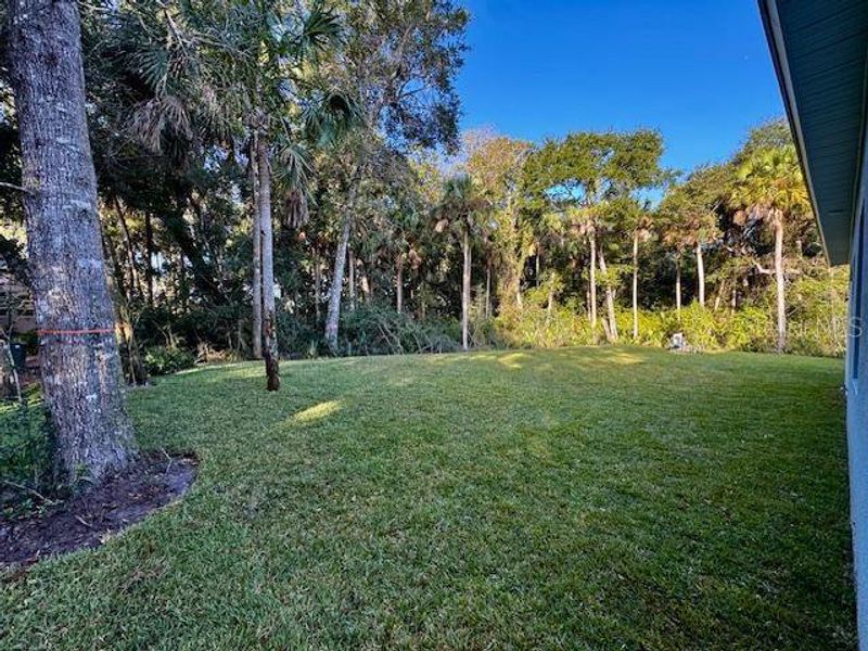 Natural landscape and outdoor views near in Flagler Beach (Image 27). Natural landscape and outdoor views near in Flagler Beach (Image 27).