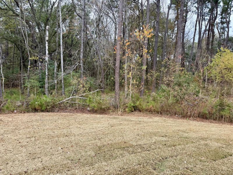 Natural landscape and outdoor views near  in Summerville (Image 18).