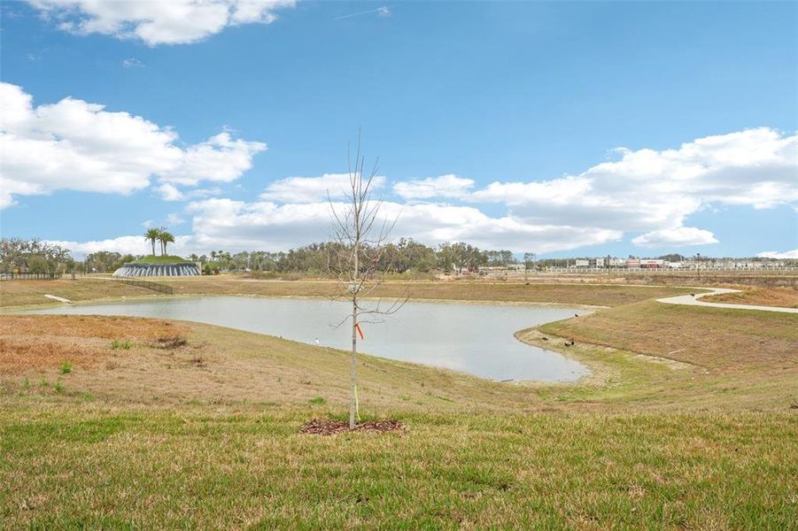 Natural landscape and outdoor views near  in San Antonio (Image 42).