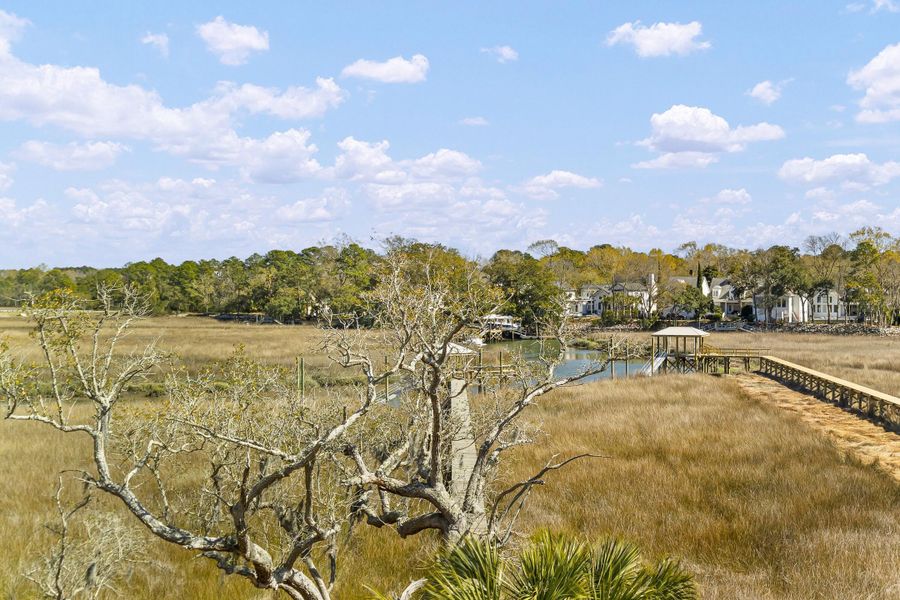 Natural landscape and outdoor views near  in Charleston (Image 115).