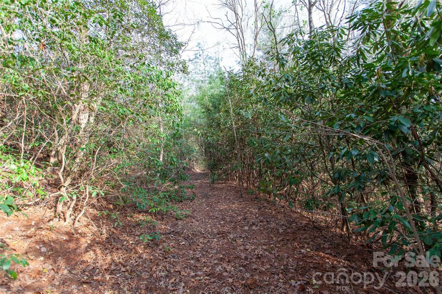 Natural landscape and outdoor views near  in Penrose (Image 11).