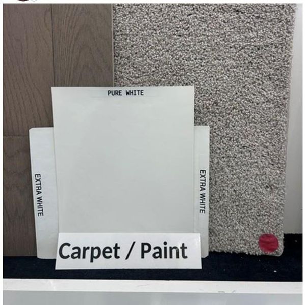 Interior Paint and Carpet Colors Interior Paint and Carpet Colors