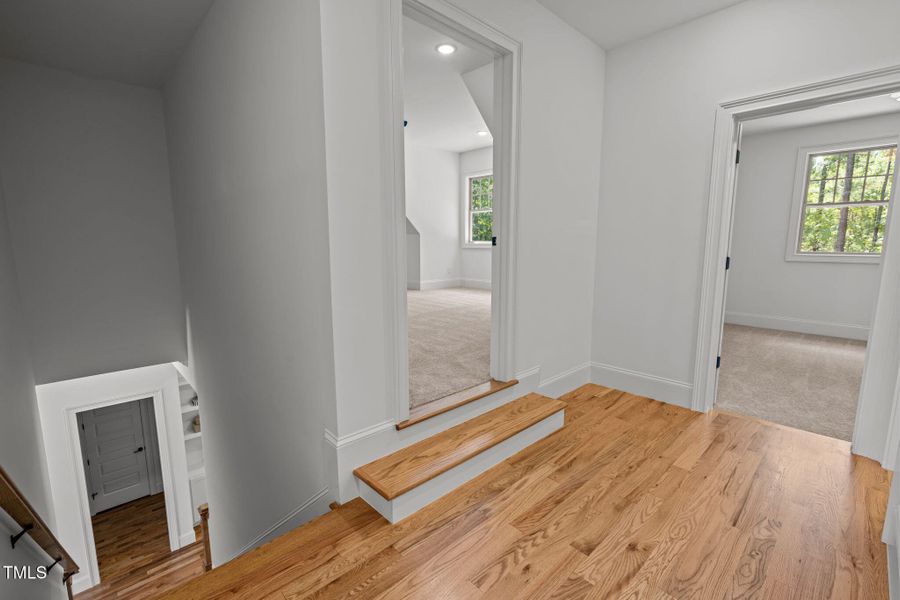 38-web-or-mls-5Z8A1201