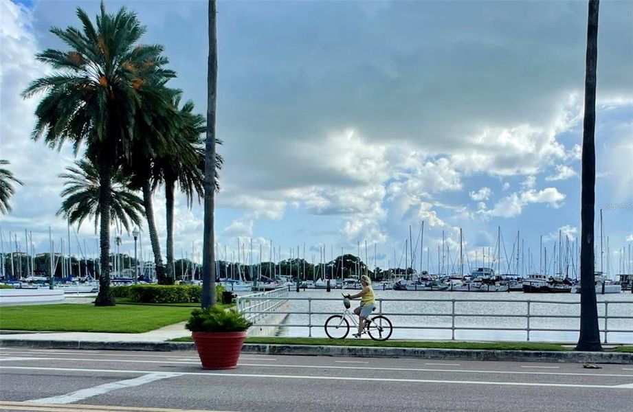 Image 41 of a home in Castille Urbana. Image 41 of a home in Castille Urbana.