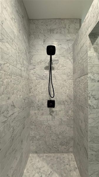 Master Bath Shower