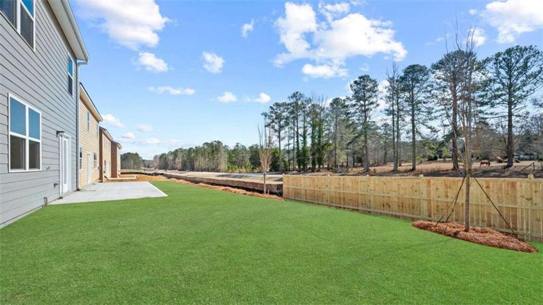Exterior details and patio area of a home in Poplar Preserve, Newnan (Image 4).