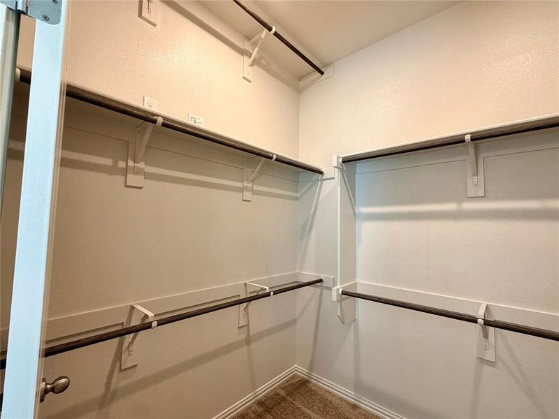 Walk-in closet featuring multiple dark-finish hanging rods, white shelving supports, and neutral-toned carpeting