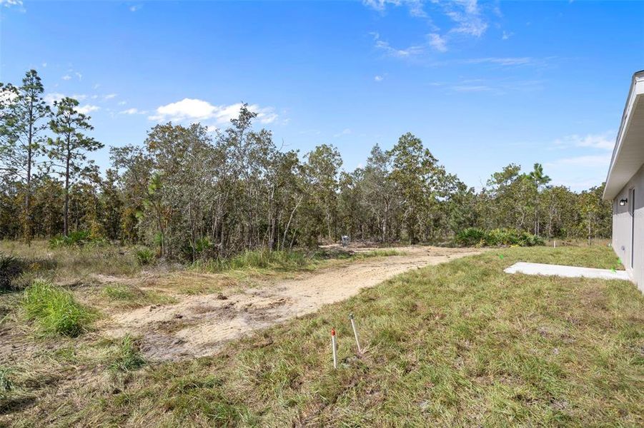 Natural landscape and outdoor views near in Weeki Wachee (Image 42). Natural landscape and outdoor views near in Weeki Wachee (Image 42).