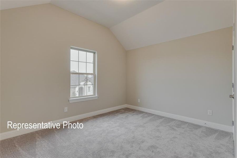 Spare room featuring lofted ceiling and carpet floors