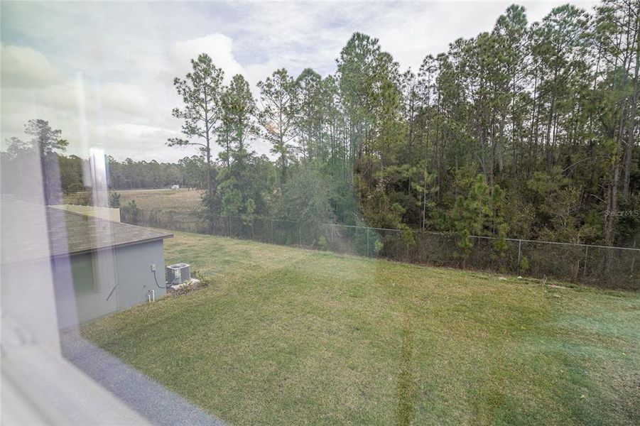 Exterior details and patio area of a home in Saddle Creek Preserve: The Manors II, Lakeland (Image 32).