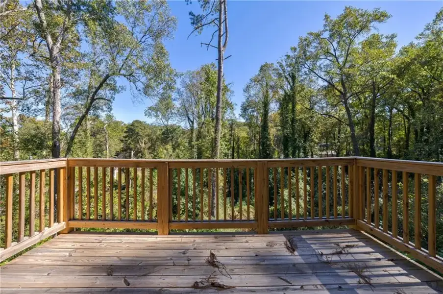 Natural landscape and outdoor views near  in Hapeville (Image 37).