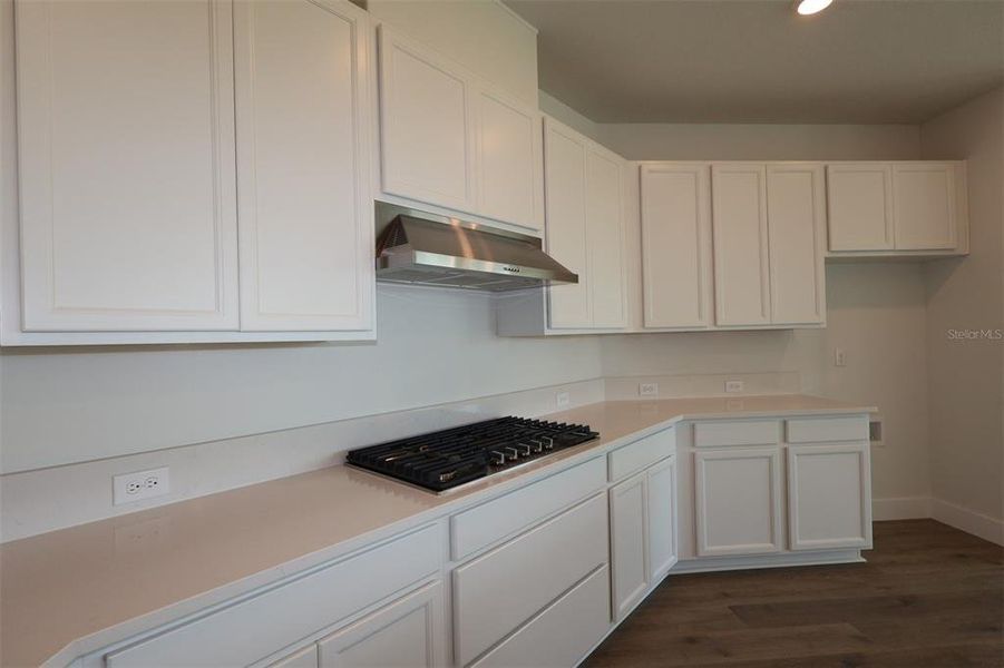 Close-up of interior finishes inside a home in Vistera of Venice – Garden Series, Nokomis (Image 18).