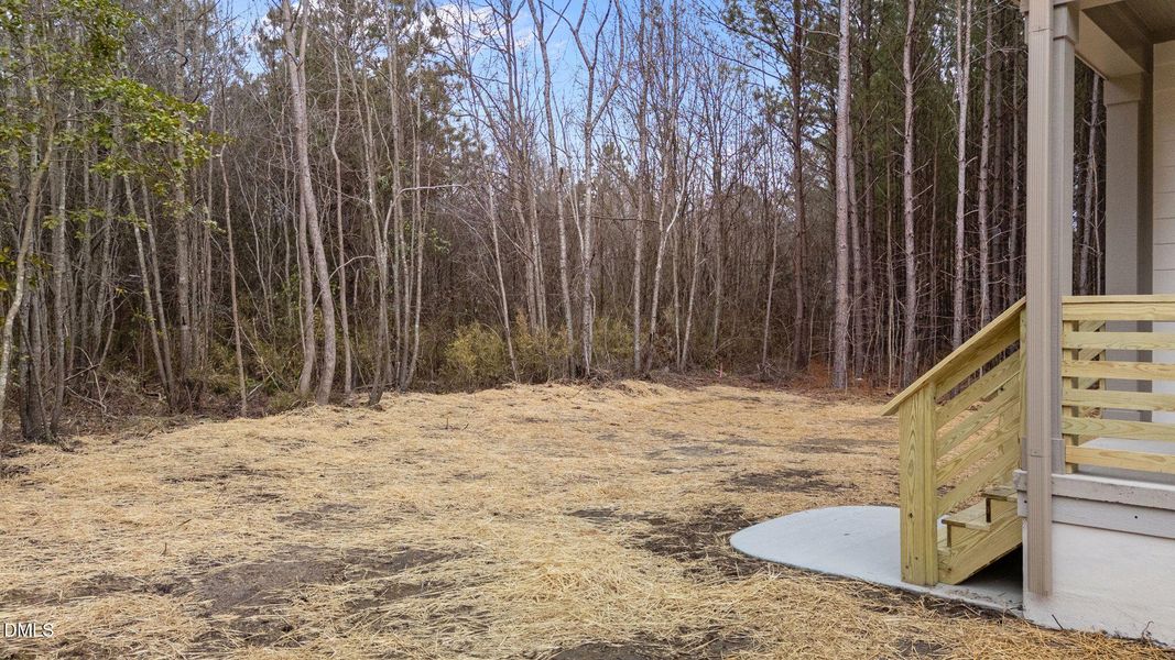 16-web-or-mls-DJI_20260123144939_0656_D