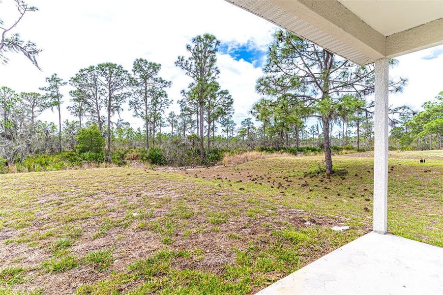 Exterior details and patio area of a home in , Lake Placid (Image 15).