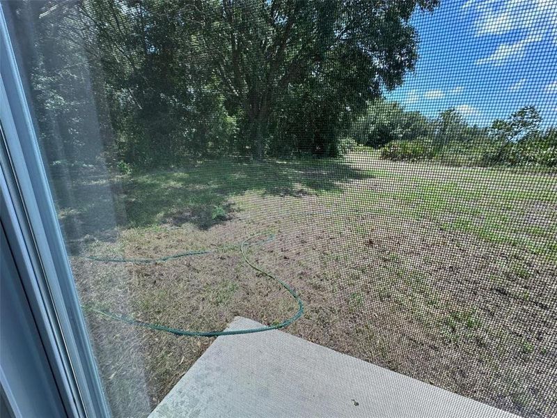 Natural landscape and outdoor views near  in Ocala (Image 21).