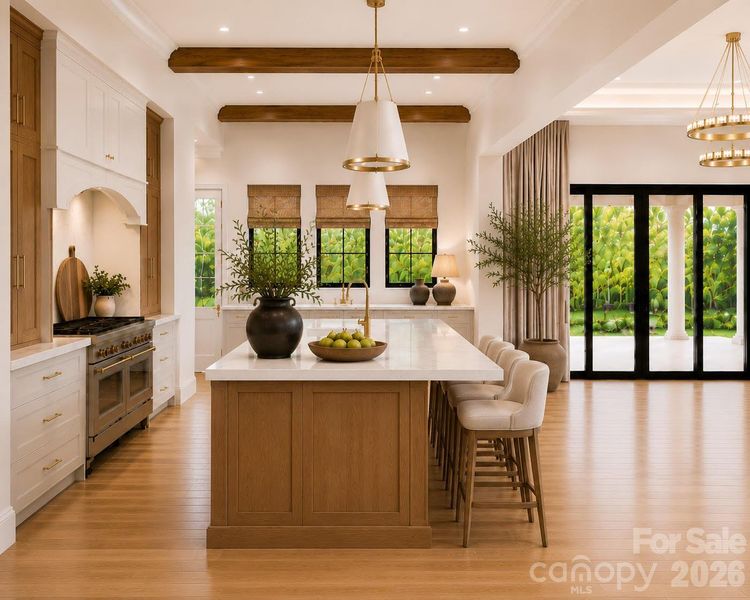 Kitchen - Conceptual Designs Render