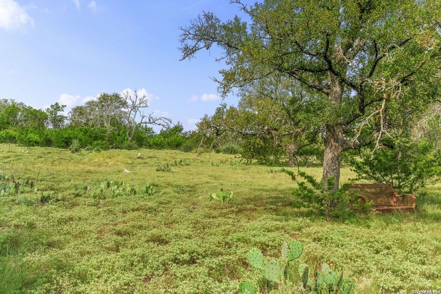 Natural landscape and outdoor views near  in Fredericksburg (Image 6).