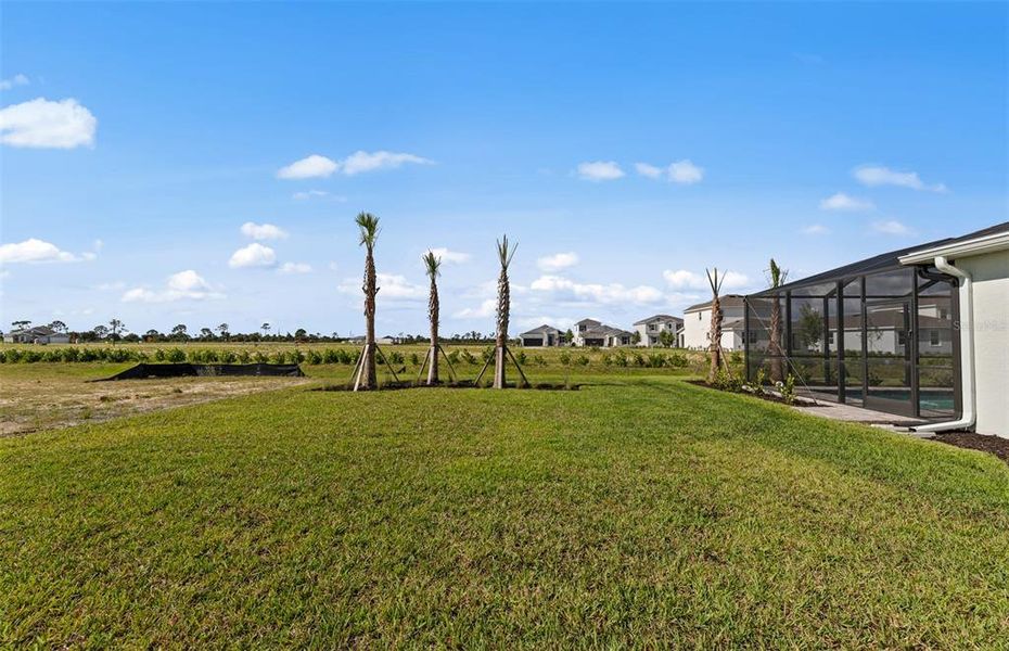 Exterior details and patio area of a home in Reagan Landing, Bradenton (Image 21). Exterior details and patio area of a home in Reagan Landing, Bradenton (Image 21).