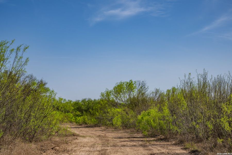Natural landscape and outdoor views near in Crystal City (Image 35). Natural landscape and outdoor views near in Crystal City (Image 35).
