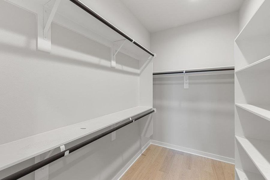 Walk in closet featuring light wood finished floors