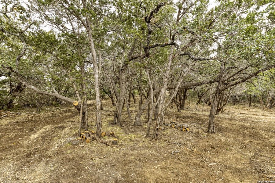 Natural landscape and outdoor views near  in Canyon Lake (Image 30).