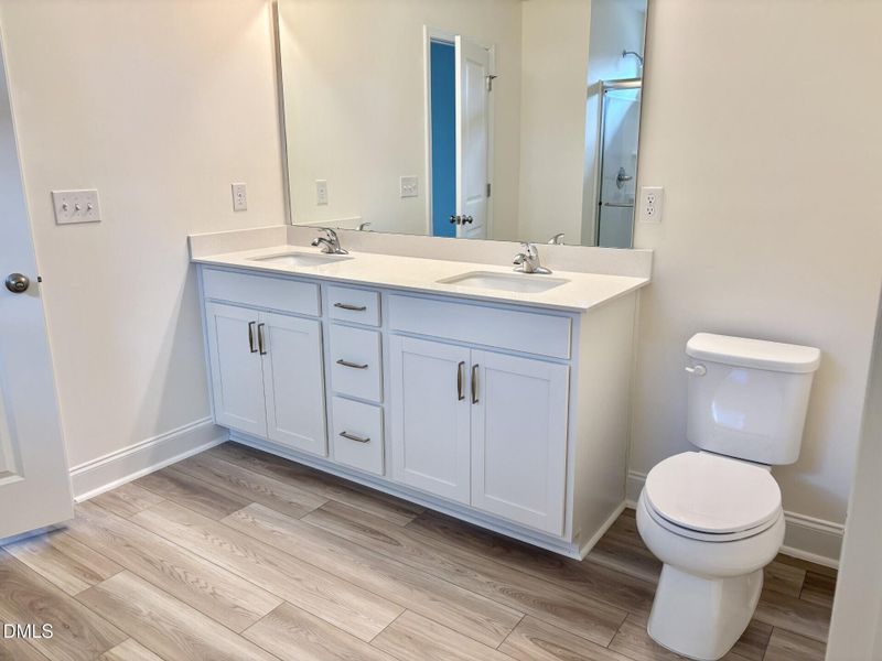 NP 79 Primary Vanity