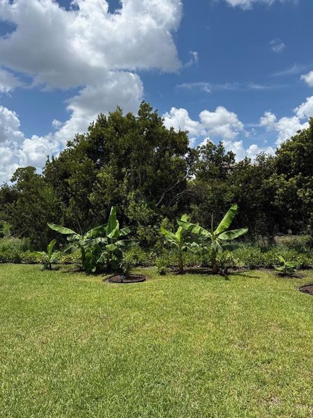 Natural landscape and outdoor views near  in Port St. Lucie (Image 31).
