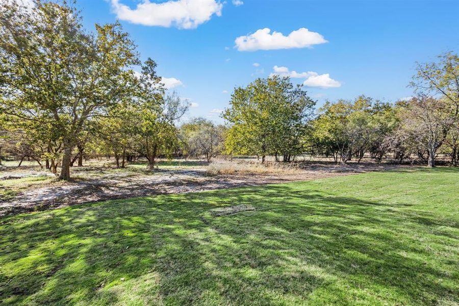 Natural landscape and outdoor views near Rolling Creek Ranch in Aledo (Image 37).