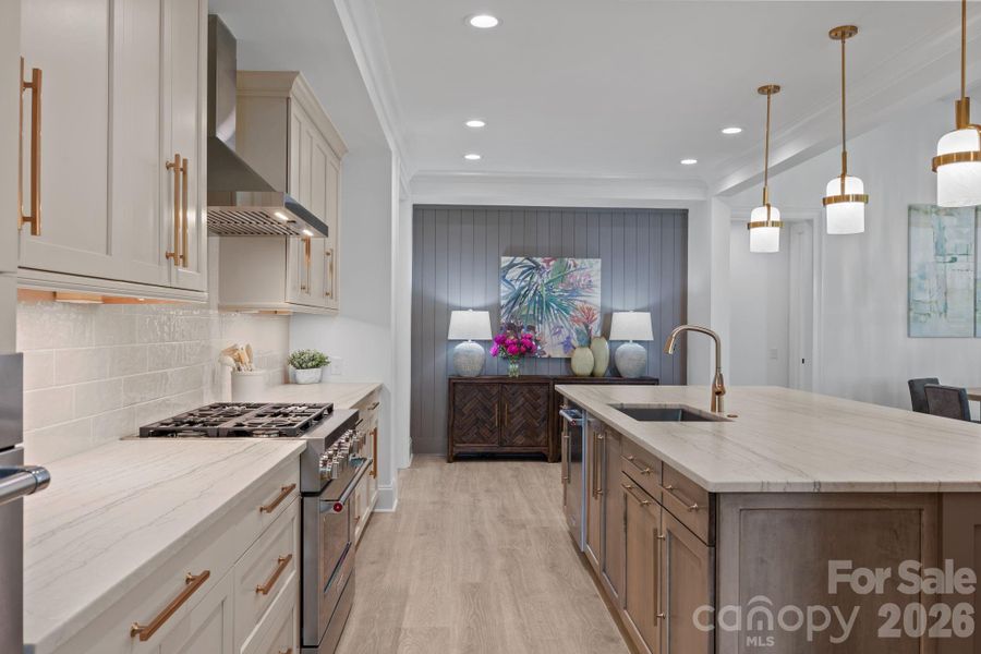 Quartzite countertops